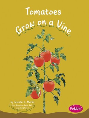 cover image of Tomatoes Grow on a Vine
